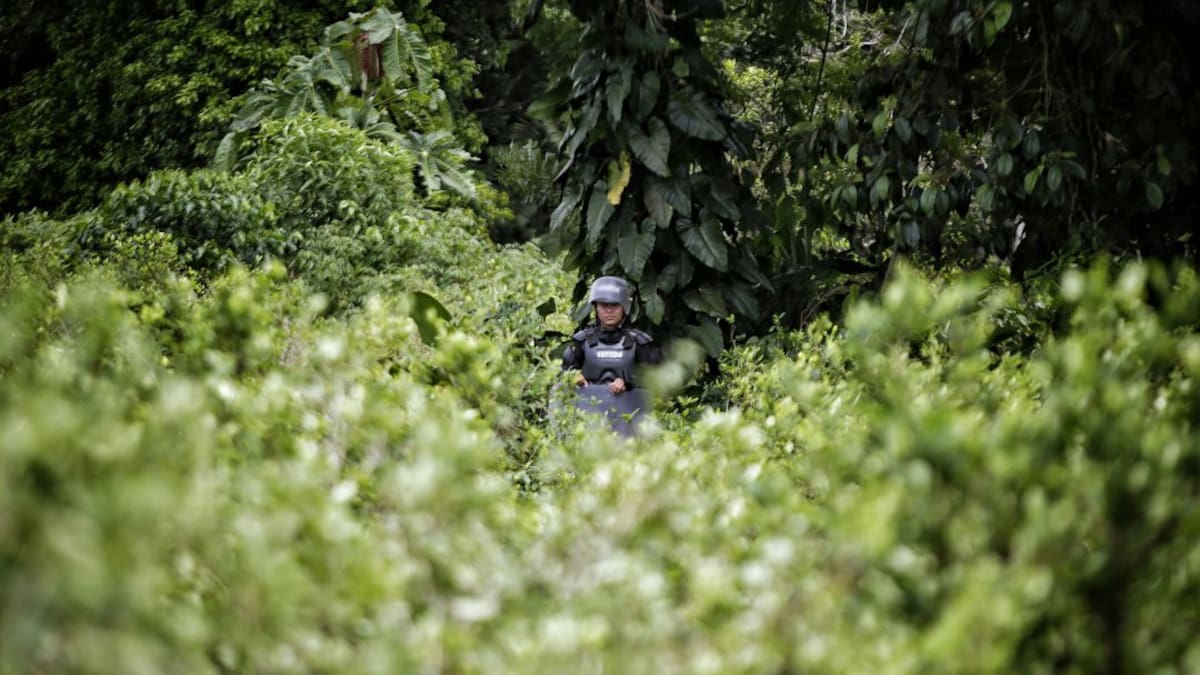 Nuevamente hunden proyecto que proponía prohibir el uso del glifosato