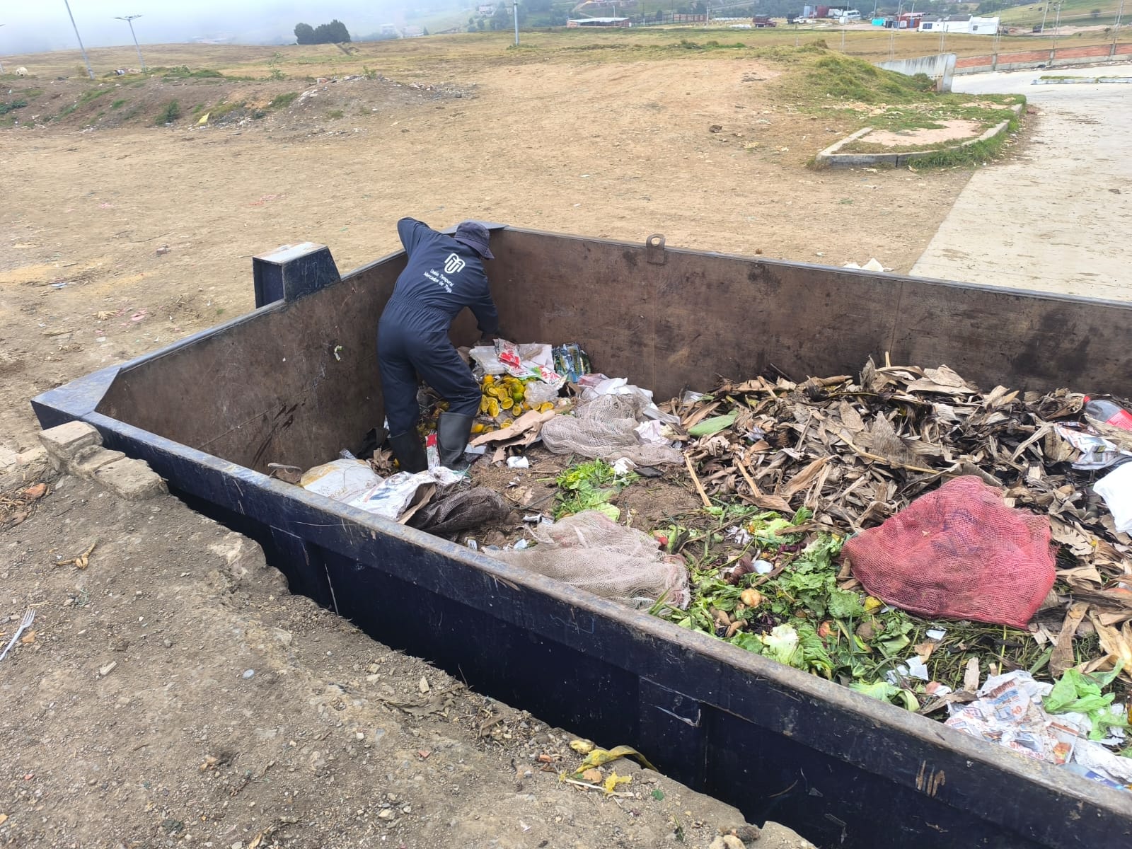 Los perros fueron hallados en distintos puntos de la plaza de mercado