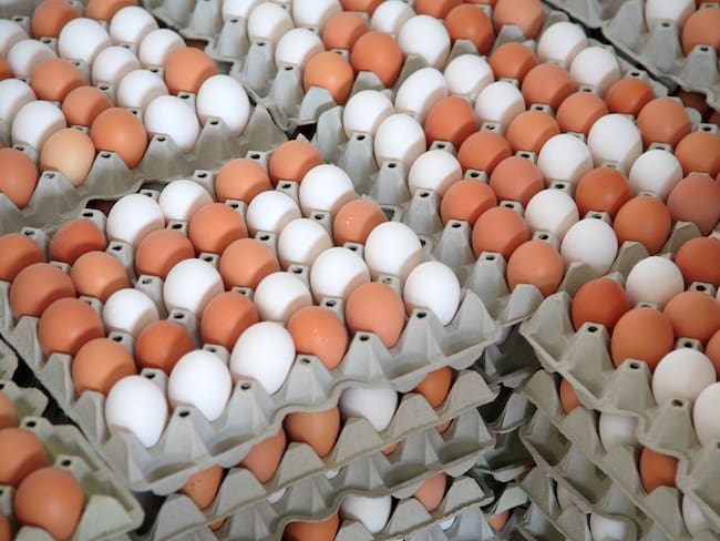 Huevos, imagen de referencia (Getty Images).