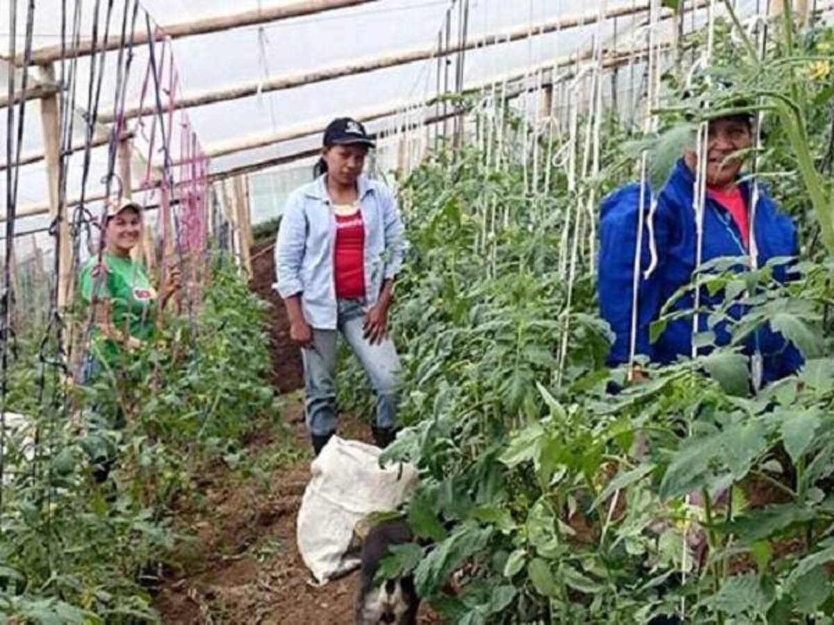 Pueblo Rico, Mistrató y Pereira municipios priorizados para el posconflicto