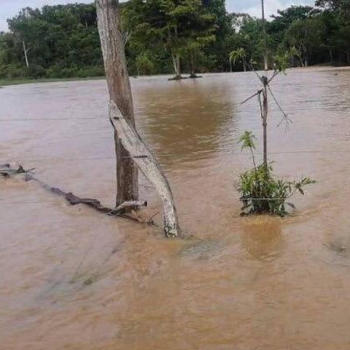 Alerta naranja en el río Lebrija