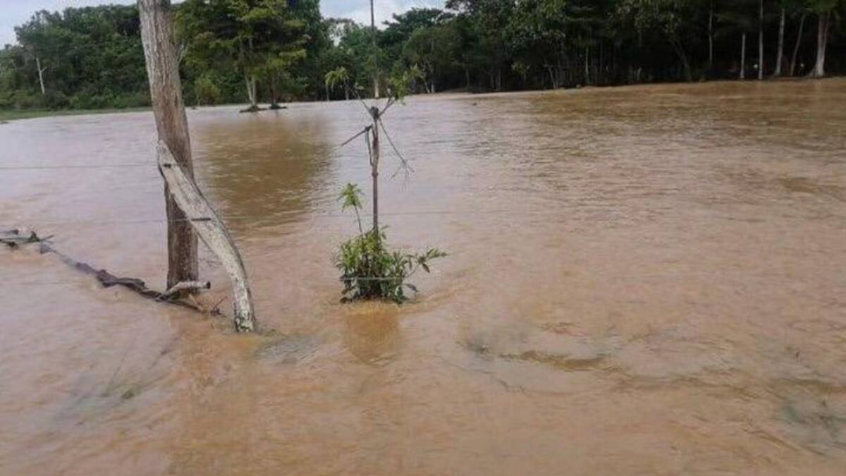 Alerta naranja en el río Lebrija