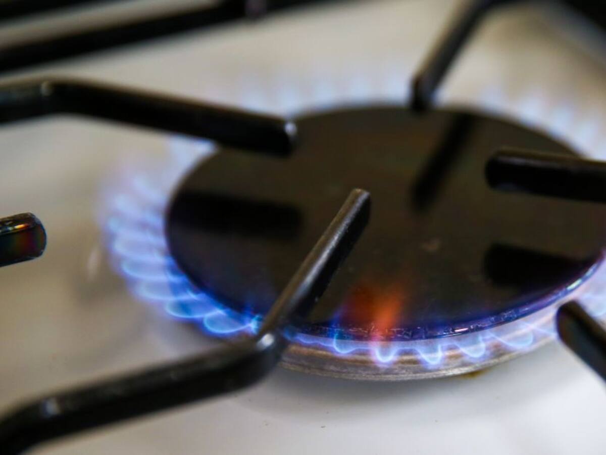 Consumo de gas natural en el periodo de la cuarenta cae un 25%: Naturgas