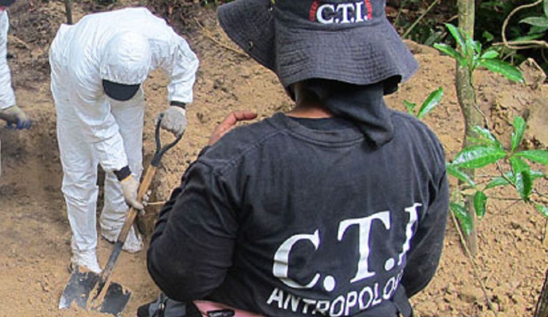 Imagen de referencia