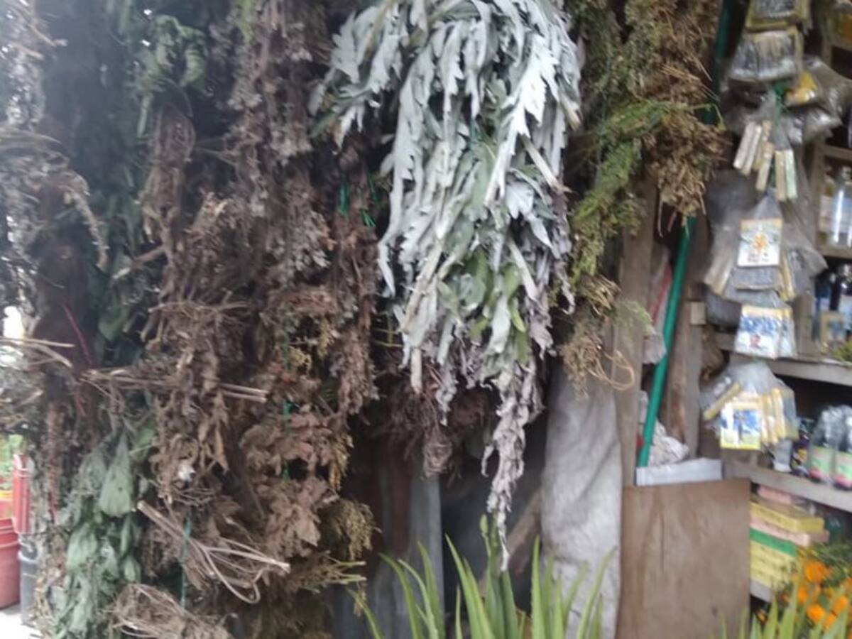 Hierbas, las más apetecidas para baños espirituales en fin de año