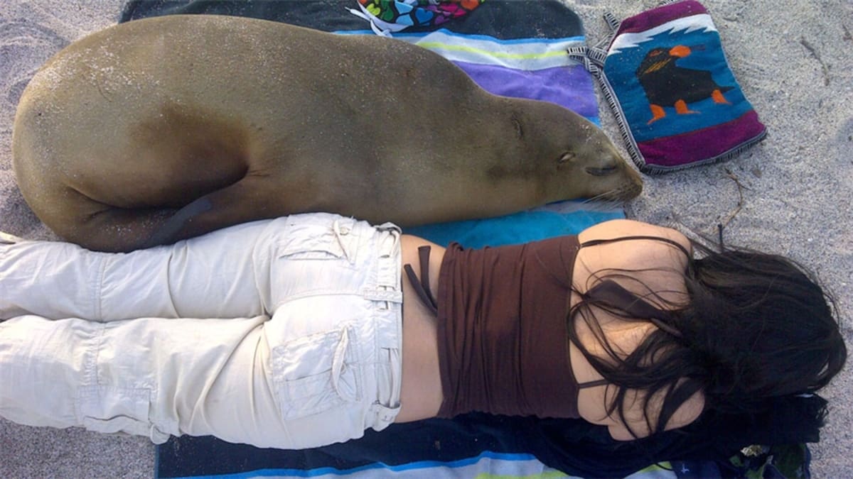 Fuegos artificiales: Desde Valencia, Venezuela, Edgar Lattuf envió esta foto de la celebración del año chino de la Serpiente.