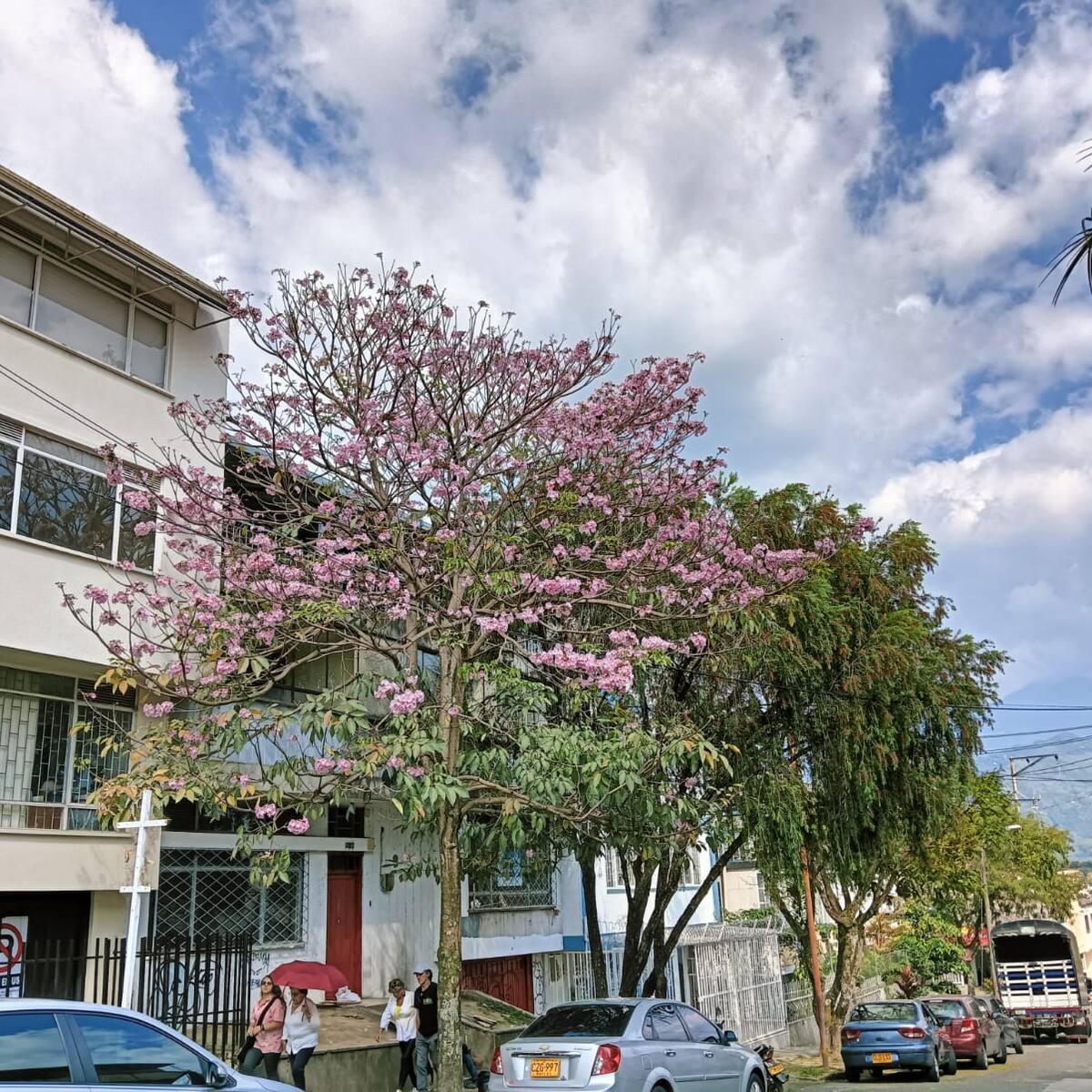 Martes 10 de septiembre, las noticias más importantes de Armenia y Quindío