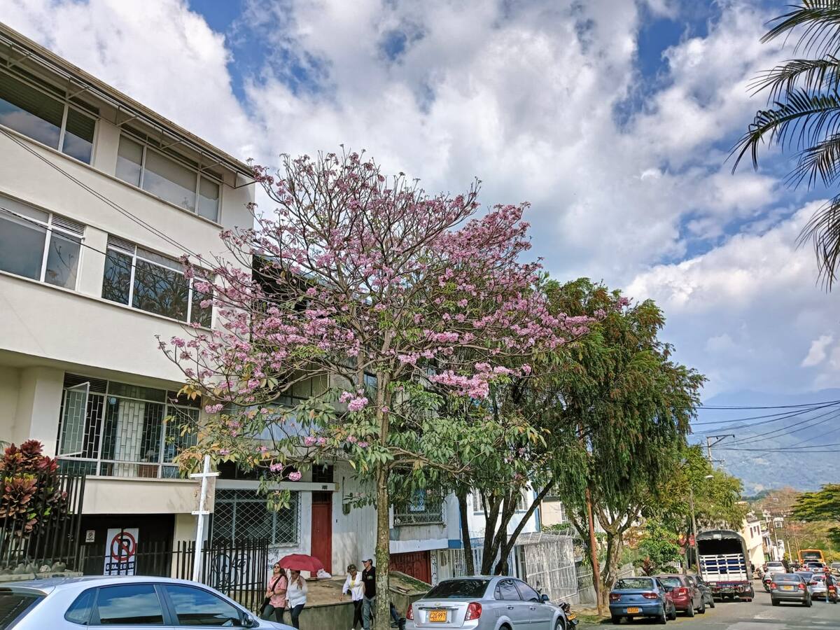 Martes 10 de septiembre, las noticias más importantes de Armenia y Quindío