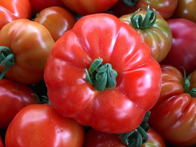 Tomates de invernadero, para una agricultura más limpia