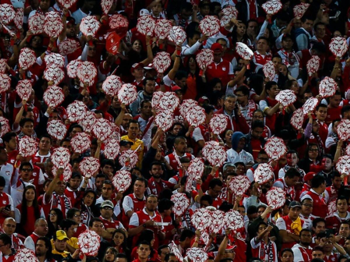¡Leones campeones!