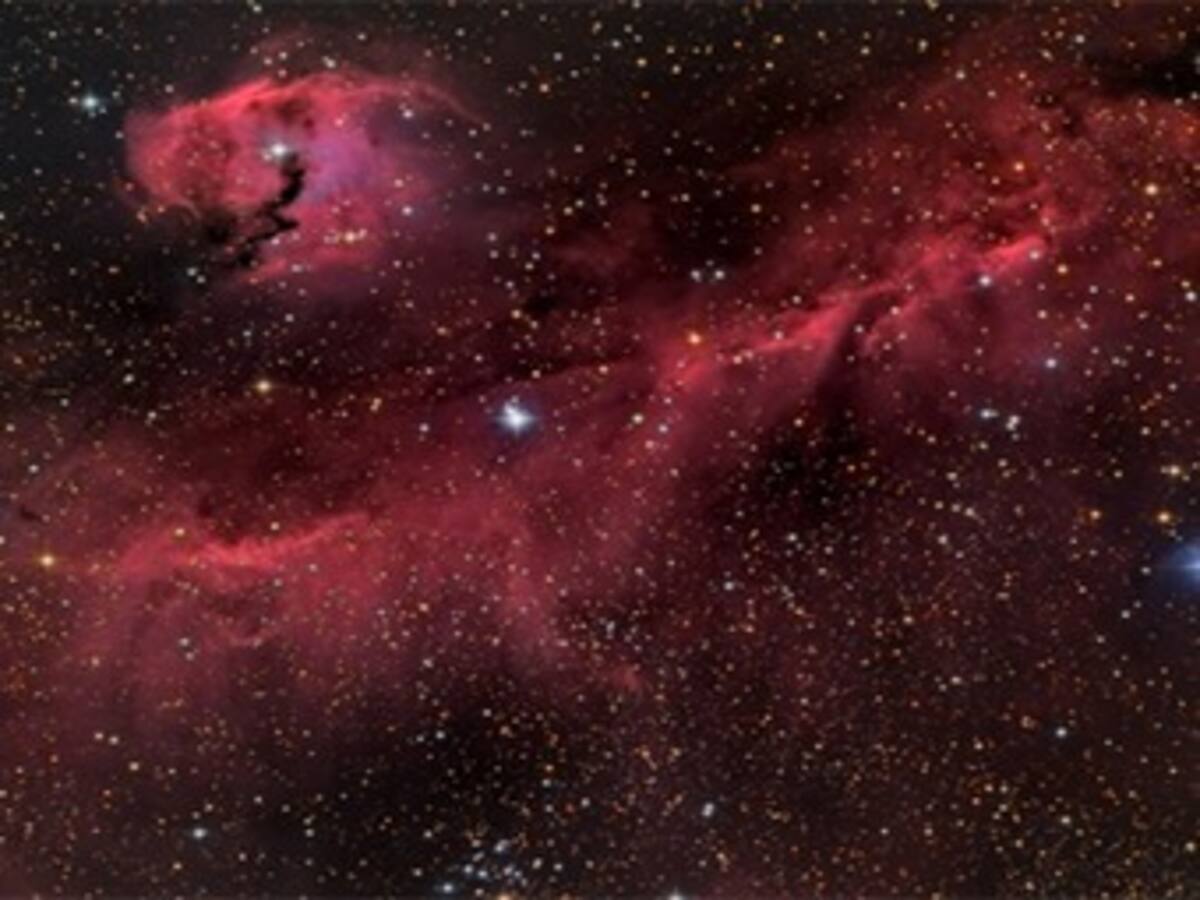 Telescopio capta nueva imagen de la cabeza de una "gaviota cósmica"
