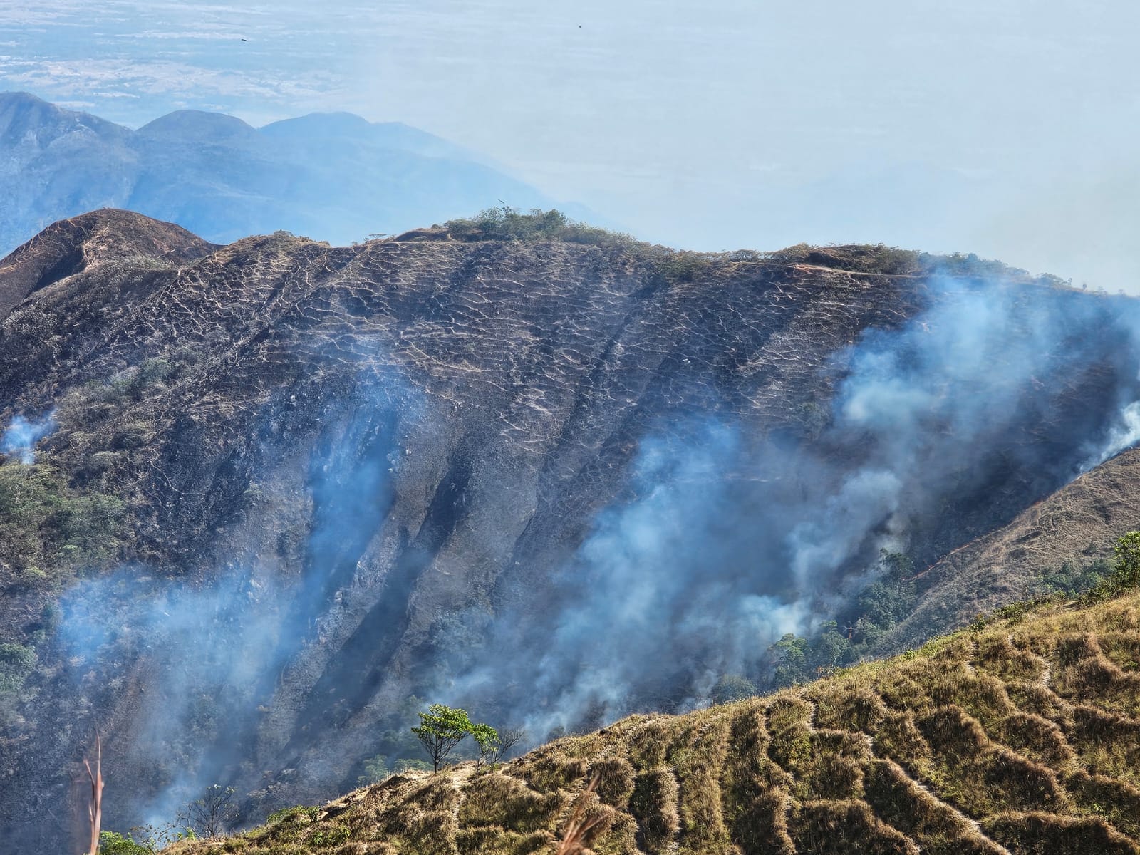 se encuentra sin vida a un labriego de 78 años. Foto Cortesía.