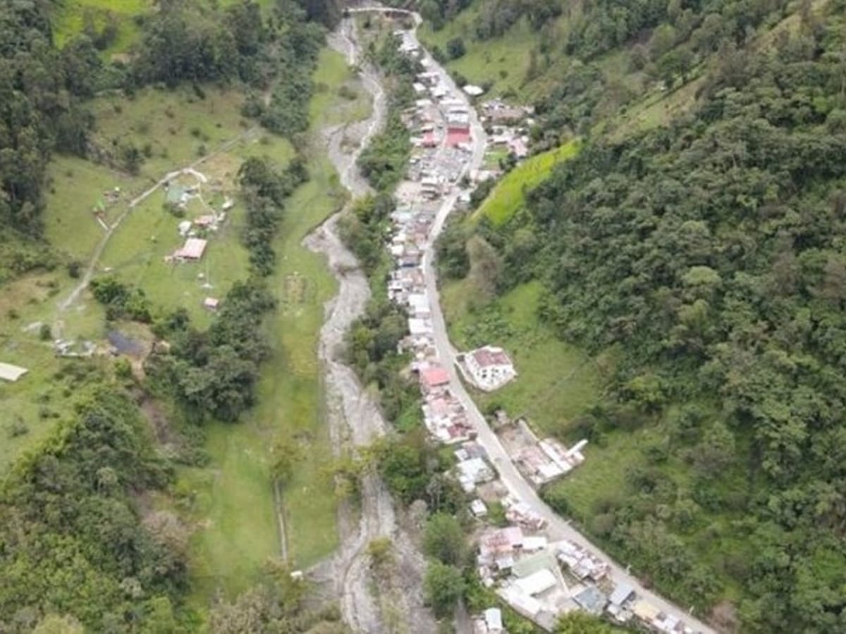 En Ibagué se han sembrado 180 mil árboles en lo corrido del 2024