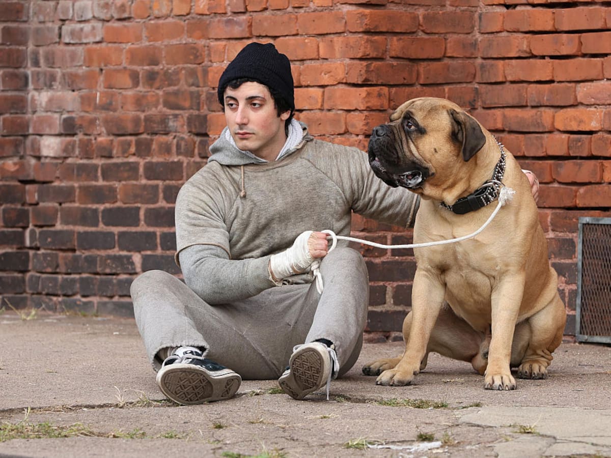 Primer tráiler ya disponible de “I Play Rocky”: La lucha de Stallone por tener el papel del clásico