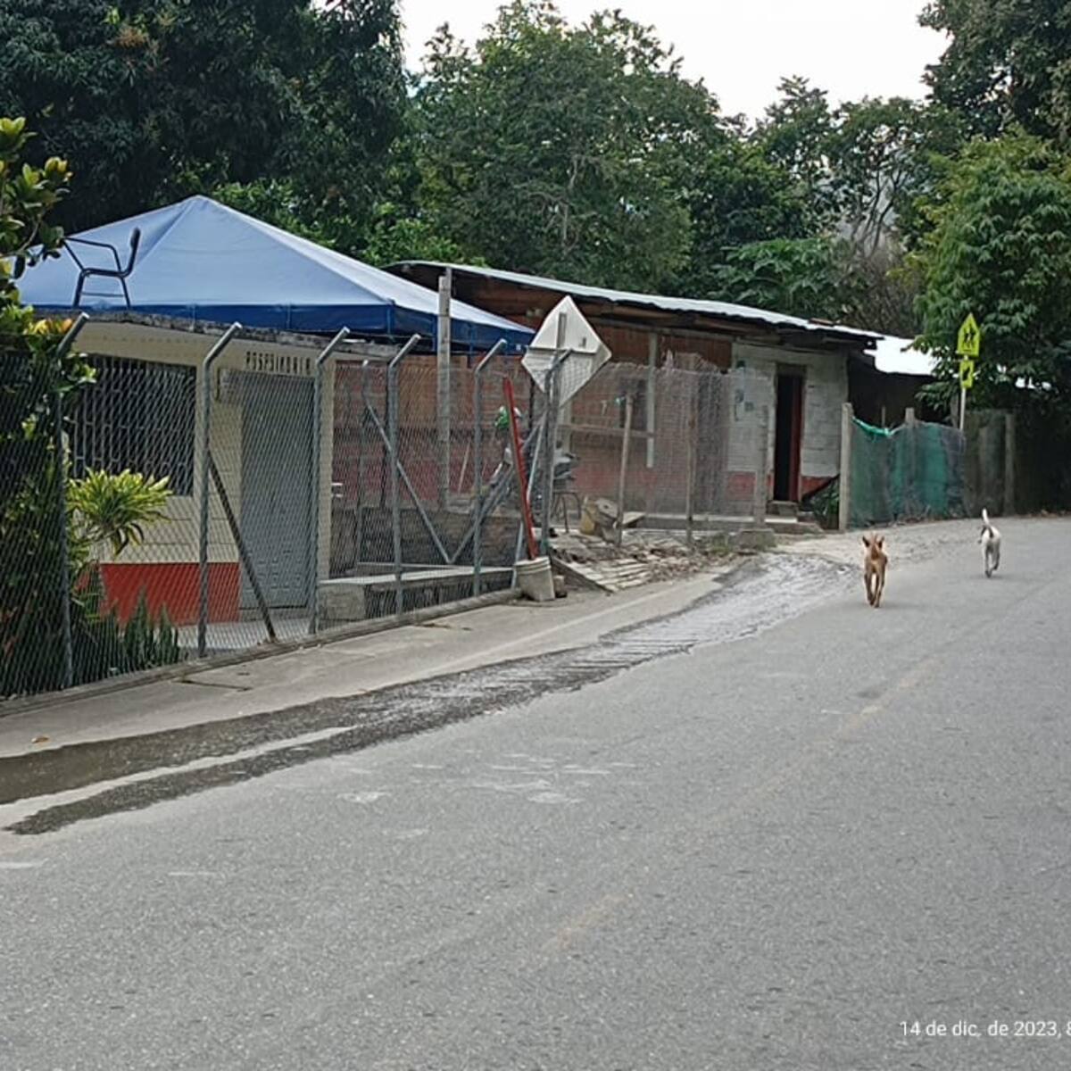 Comunidad de la vereda Mote de Ituango vive en el siglo pasado sin servicio de energía