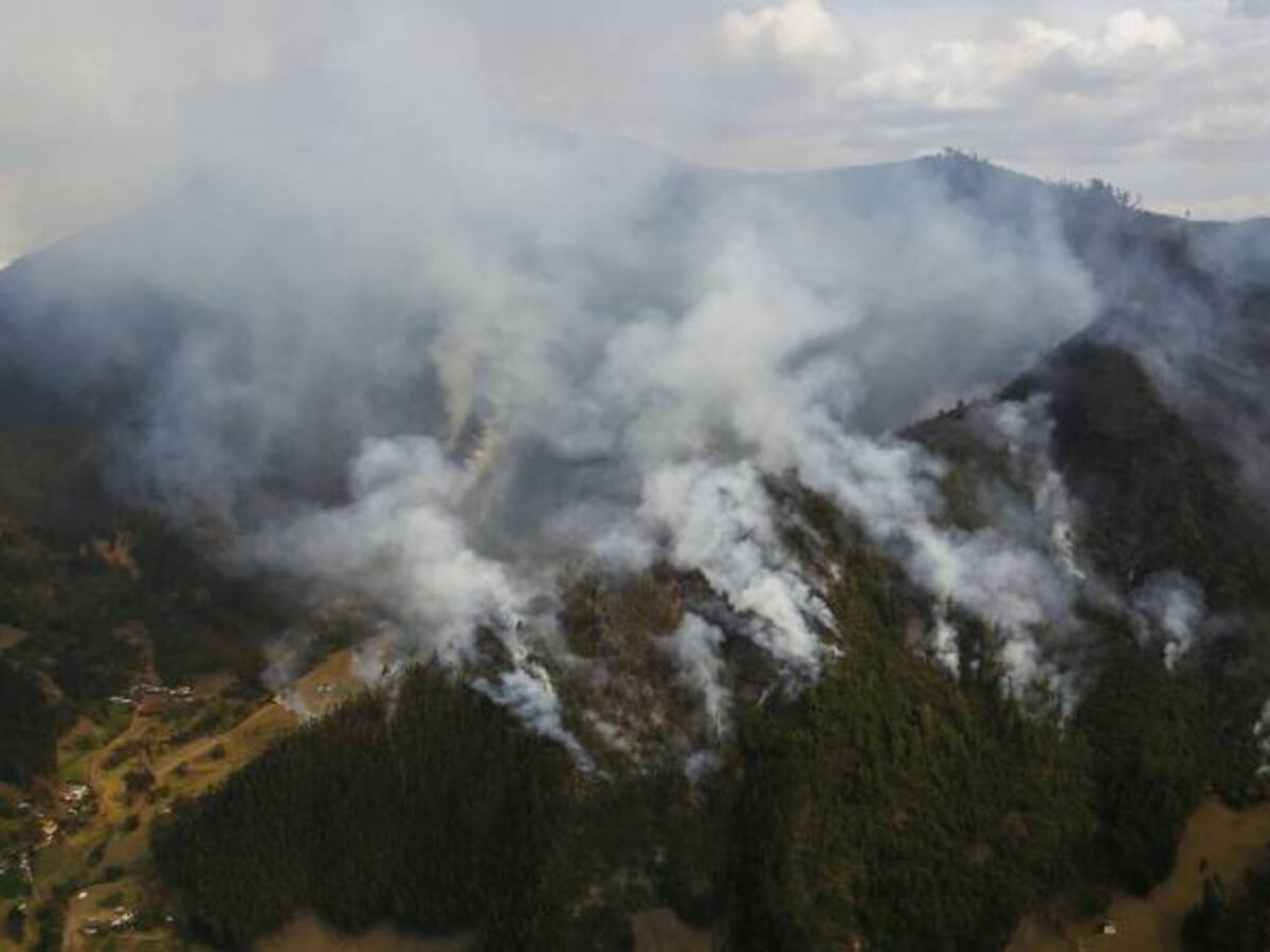 Pérdidas anuales por incendios forestales serán de 2,9 billones de pesos: DNP