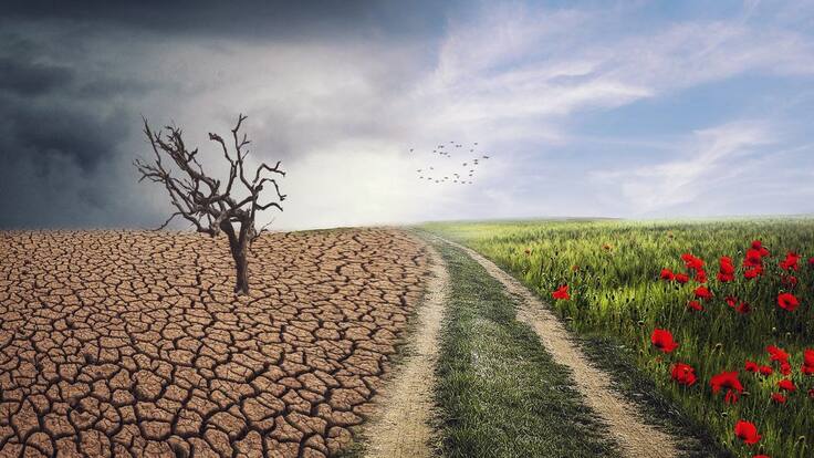 Recuperación y mejora de los ecosistemas con la matemática y geometría.