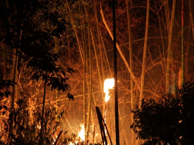 Alerta Roja en Córdoba por incendios forestales
