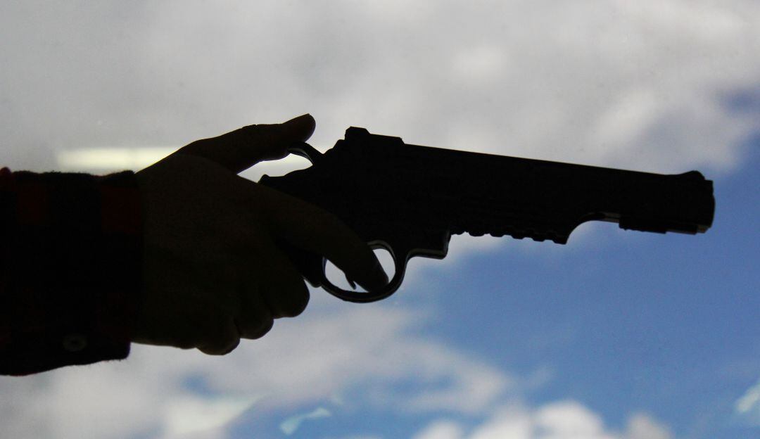 Imagen de referencia