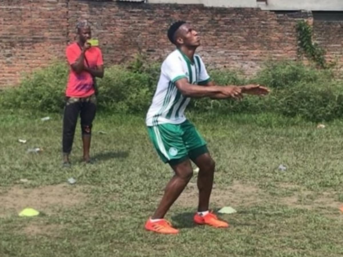 El cacao, un cultivo promisorio en la tierra de Yerry Mina