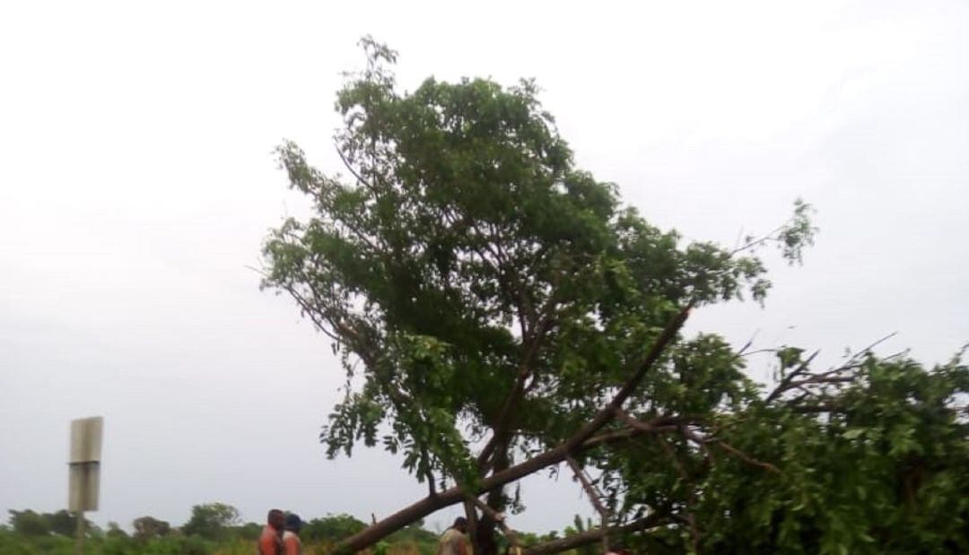 Las lluvias afectan el servicio de energía en 7 municipios de Sucre