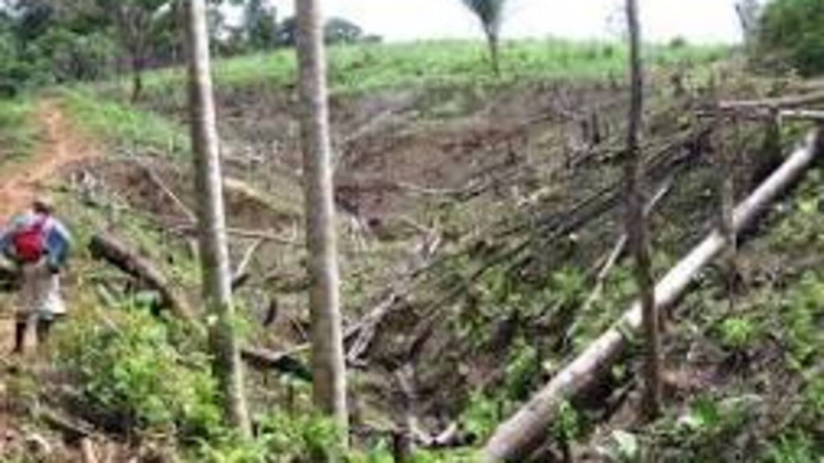 En el Huila existen más de un millón y medio de hectáreas de tierras protegidas