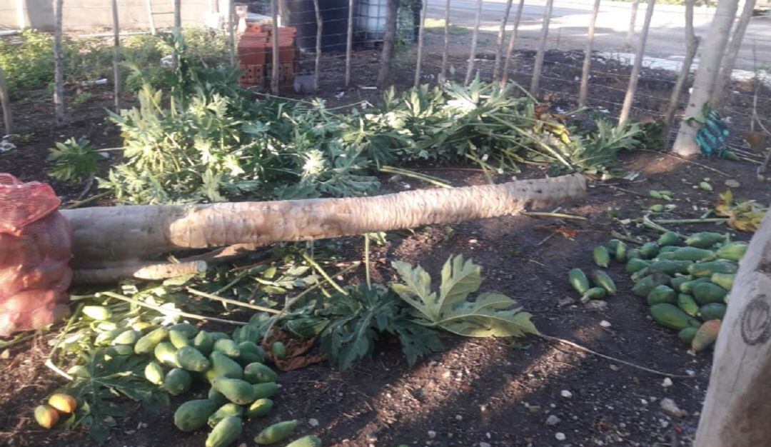 Los habitantes de la vereda Mala Noche también reportaron pérdida de cultivos, daños en el colegio y afectaciones en la vía de acceso