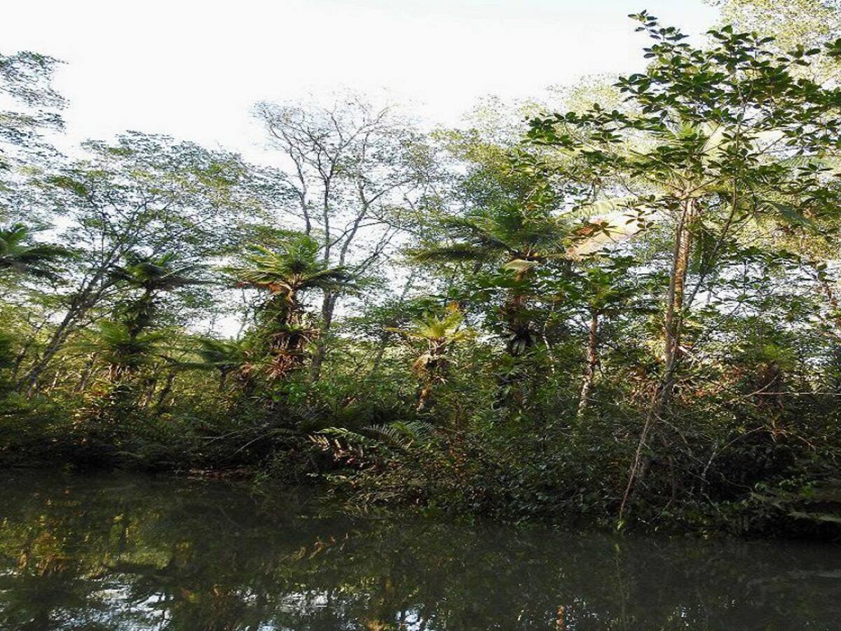 Minambiente financiará proyectos en Córdoba por más de $51.600 millones