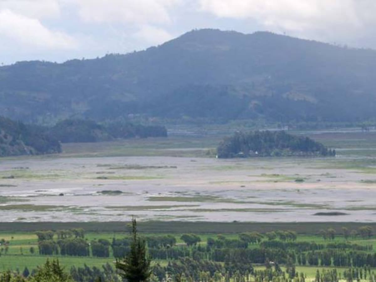 Se necesitan más de 200 millones de dólares para recuperar la laguna de Fúquene: CAR