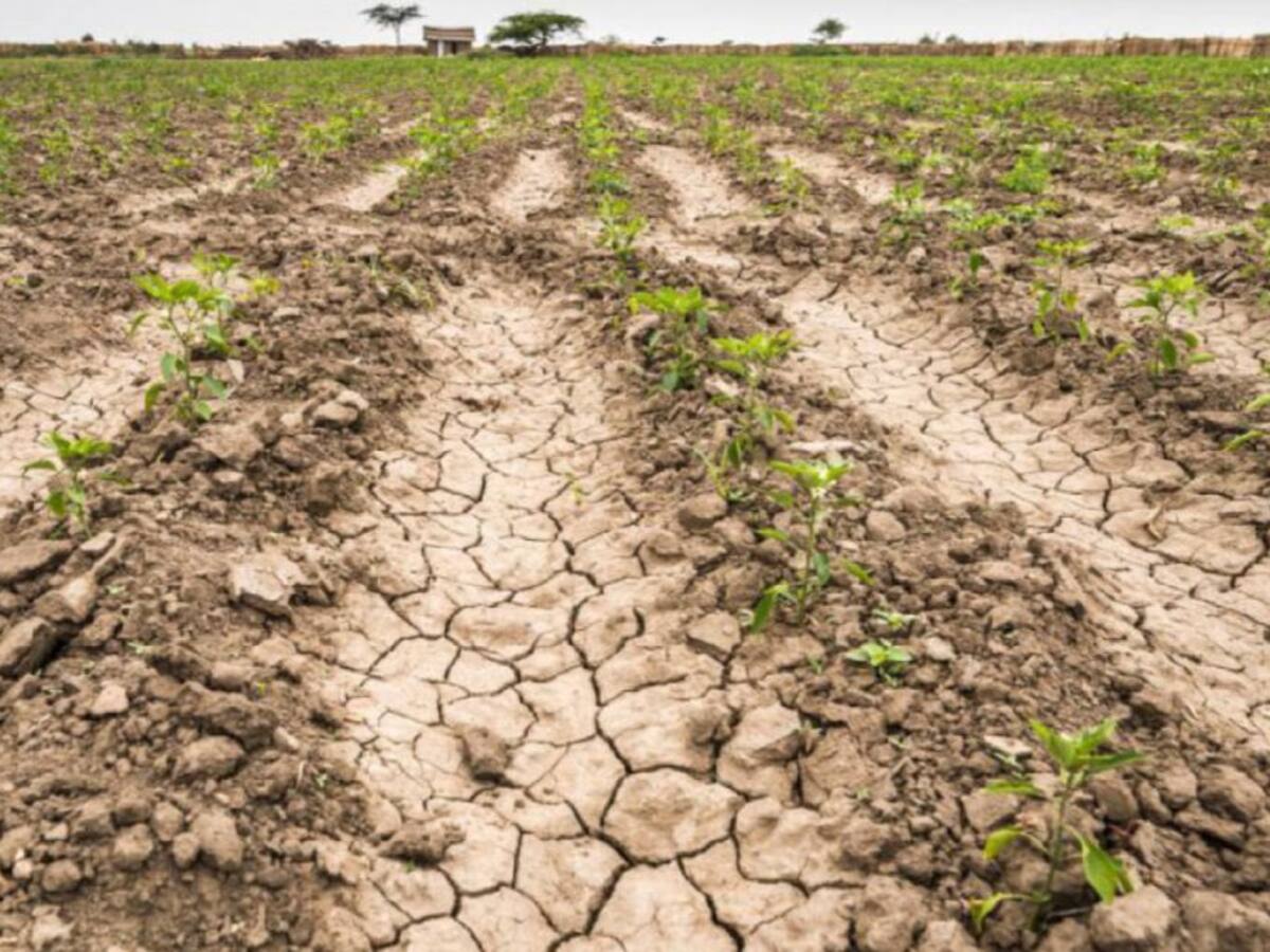 Productores del Atlántico piden apoyo ante temporada de sequía