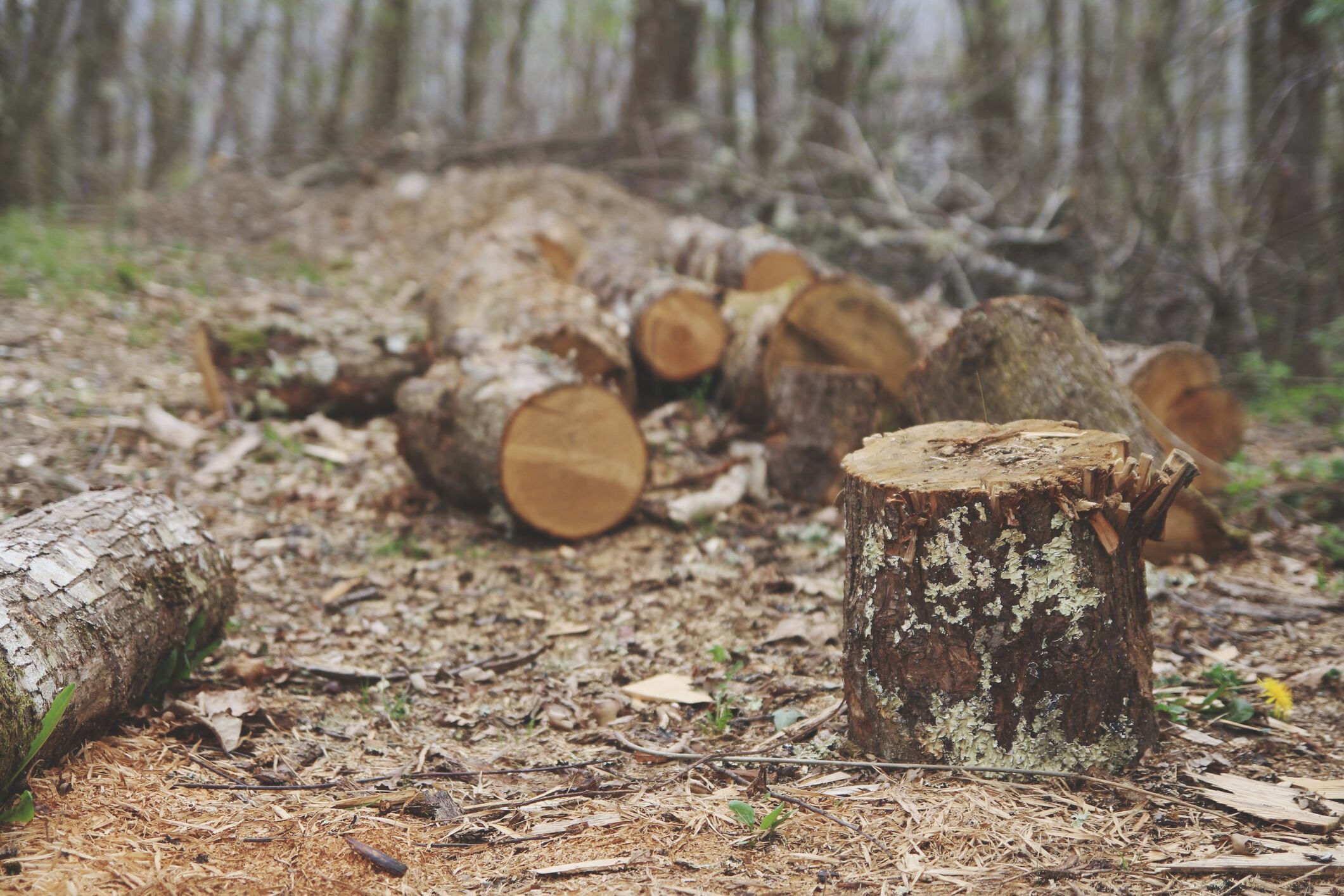La W sigue escuchando las propuestas de los candidatos presidenciales sobre salud, educación, seguridad, economía, entre otros frentes