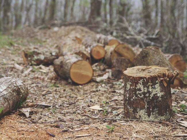 La W sigue escuchando las propuestas de los candidatos presidenciales sobre salud, educación, seguridad, economía, entre otros frentes