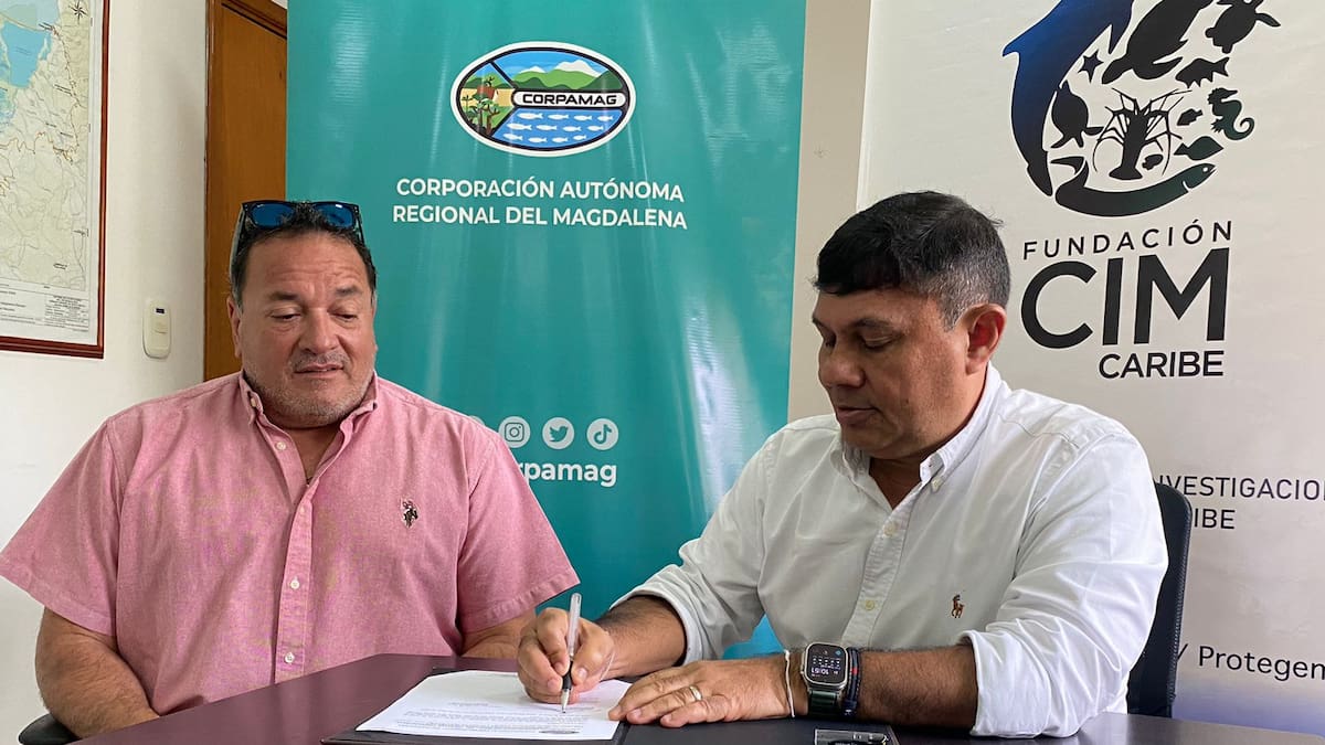 Rescate de ejemplares de fauna silvestre y marina es prioridad en el Magdalena