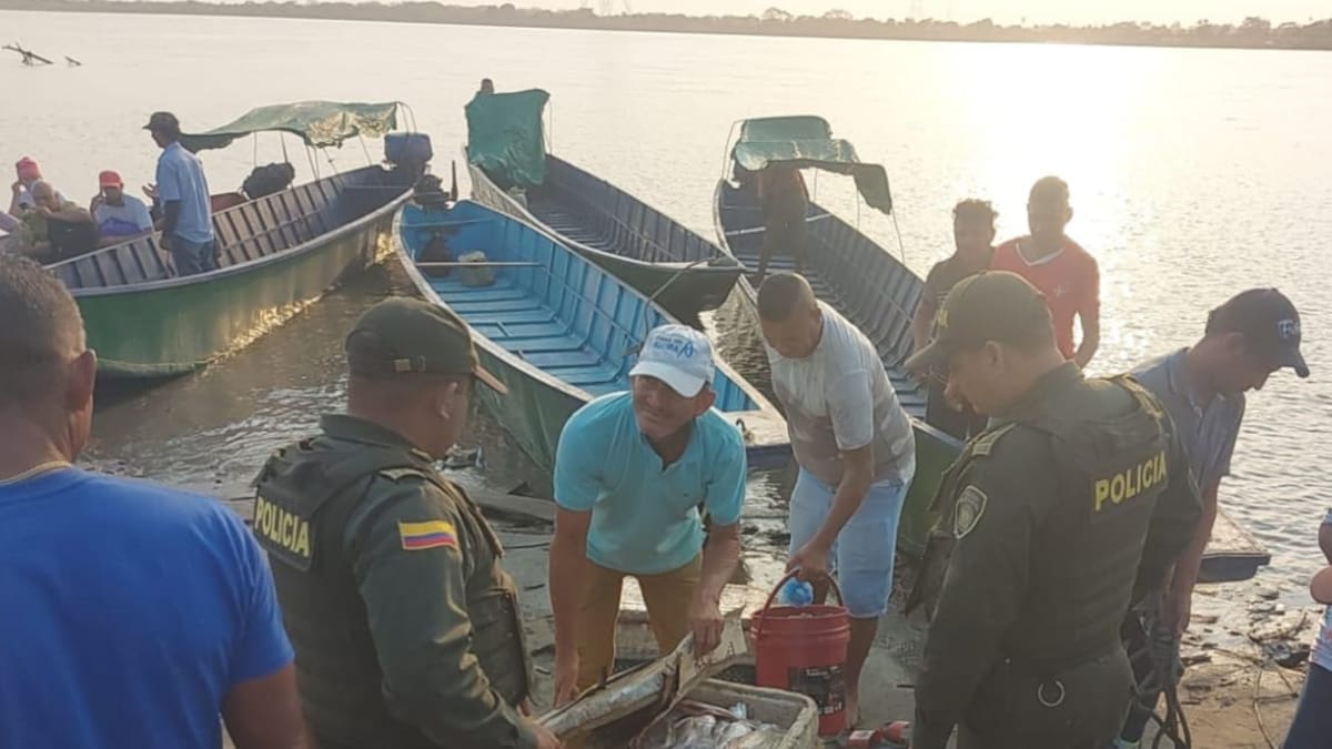 Incautan más de 200 kilos de pescado no aptos para la venta en Semana Santa
