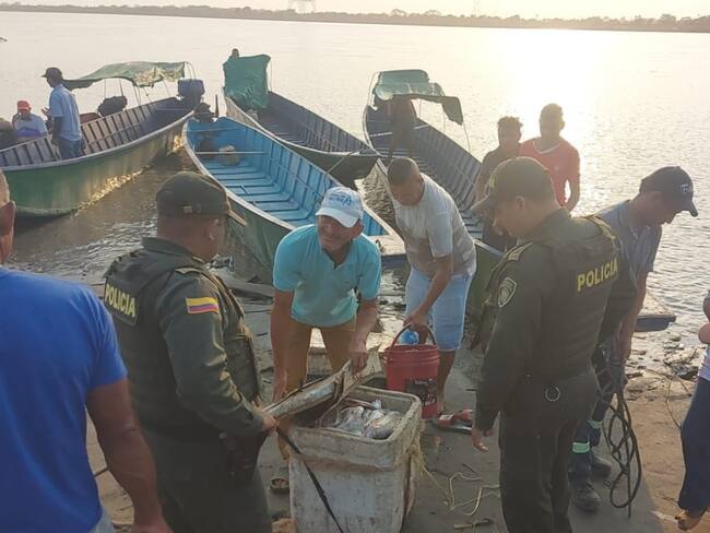 Incautan más de 200 kilos de pescado no aptos para la venta en Semana Santa