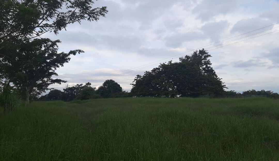 Hermosos paisajes del Quindío desde el municipio de Circasia