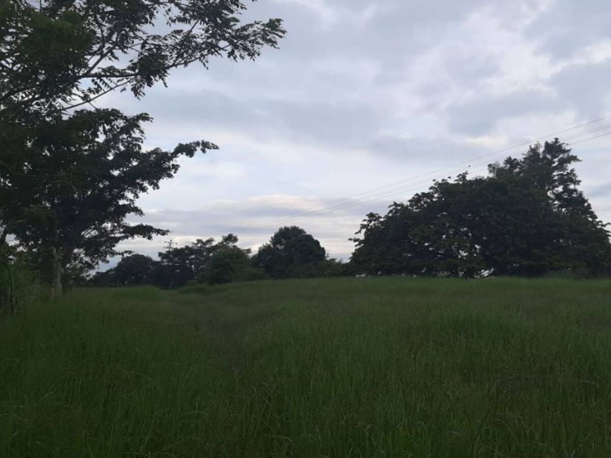 Lunes 27 de julio, las noticias más importantes de Armenia y el Quindío