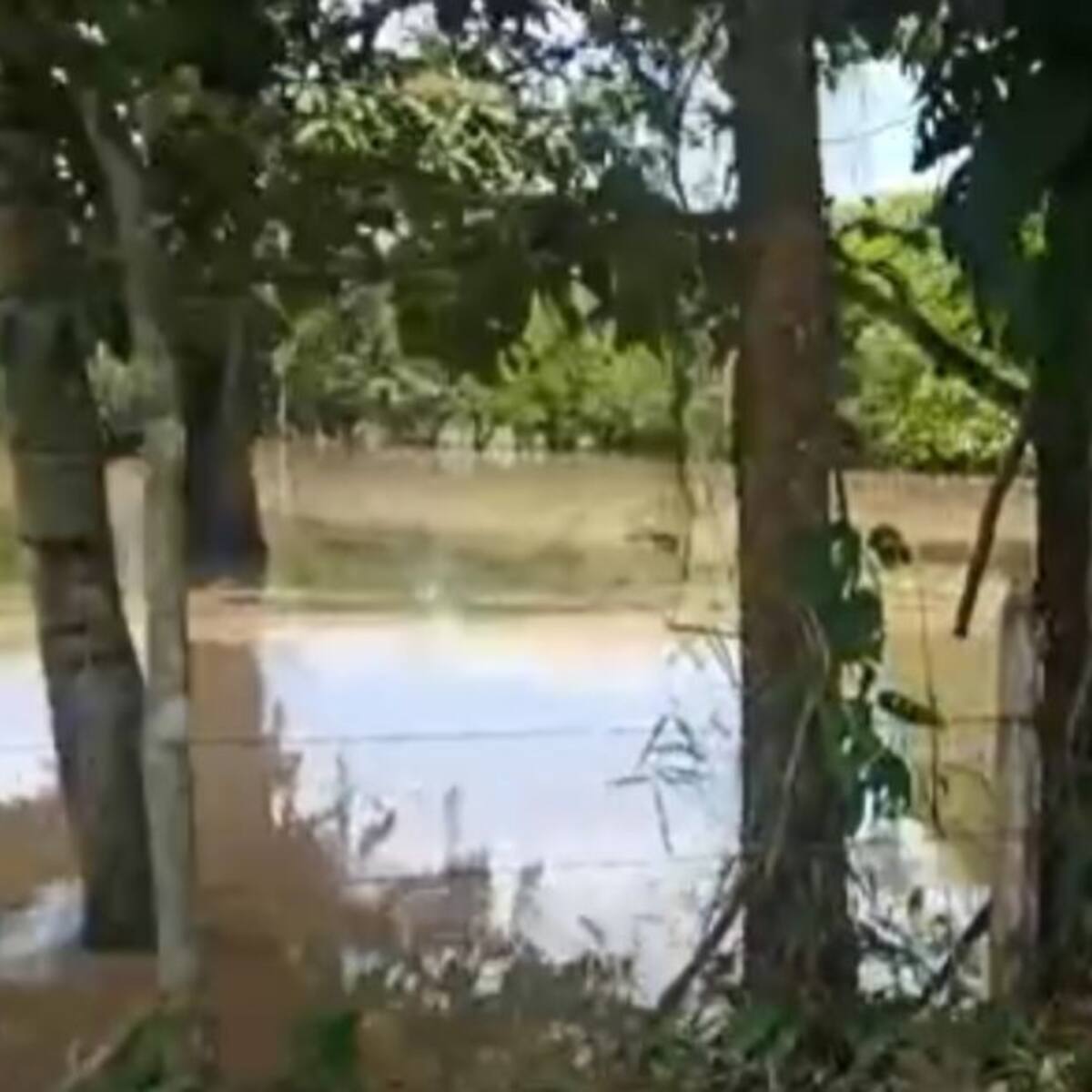 Fuertes lluvias deja afectaciones en cultivos y viviendas de Puerto Boyacá