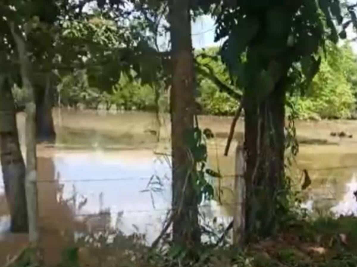 Fuertes lluvias deja afectaciones en cultivos y viviendas de Puerto Boyacá