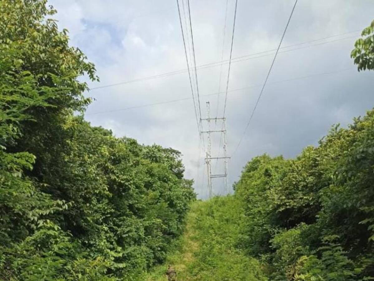Con apoyo militar Afinia recorre zonas rurales para evitar hurto de cables