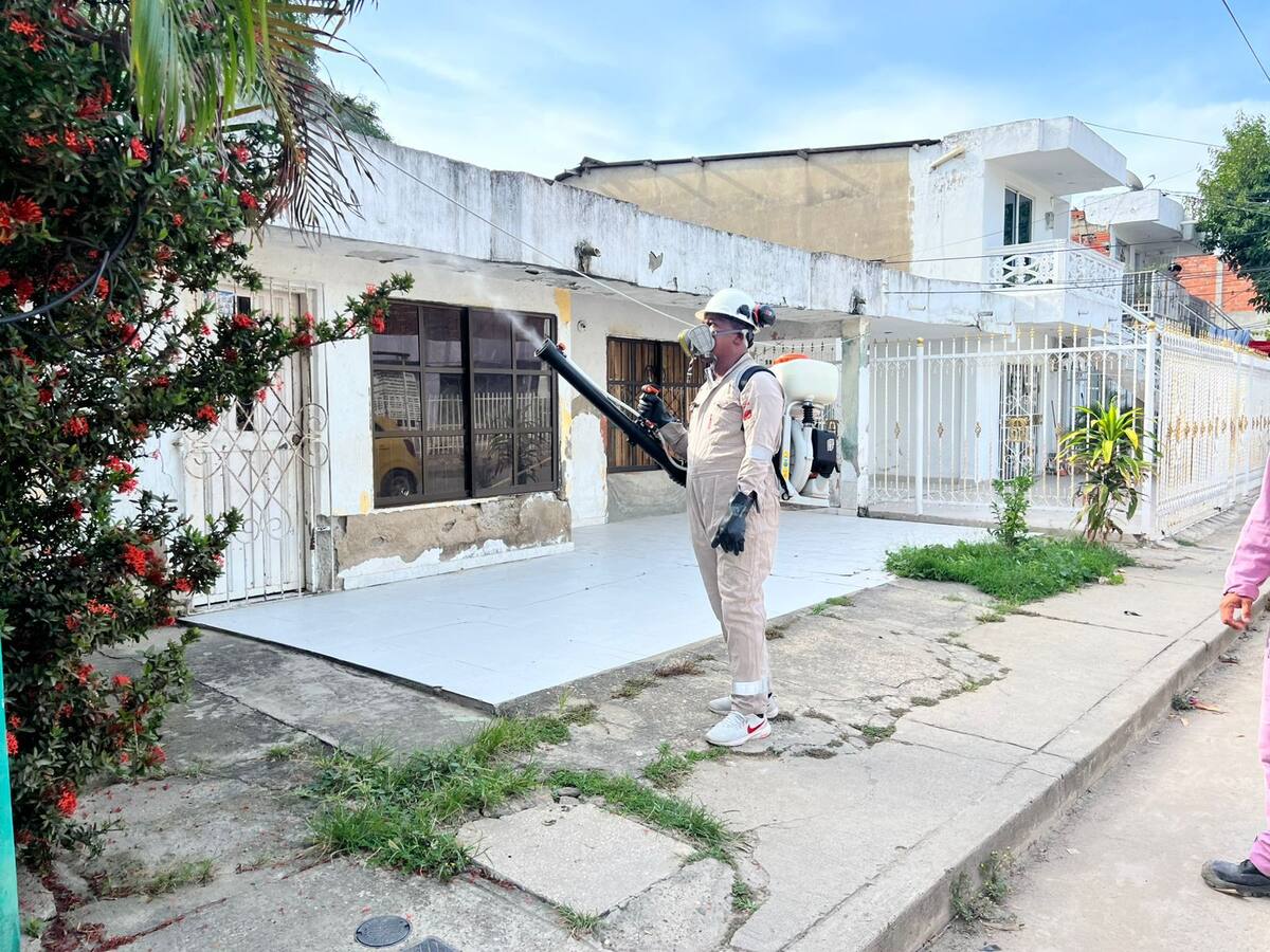 En Cartagena DADIS intensifica acciones para combatir el dengue