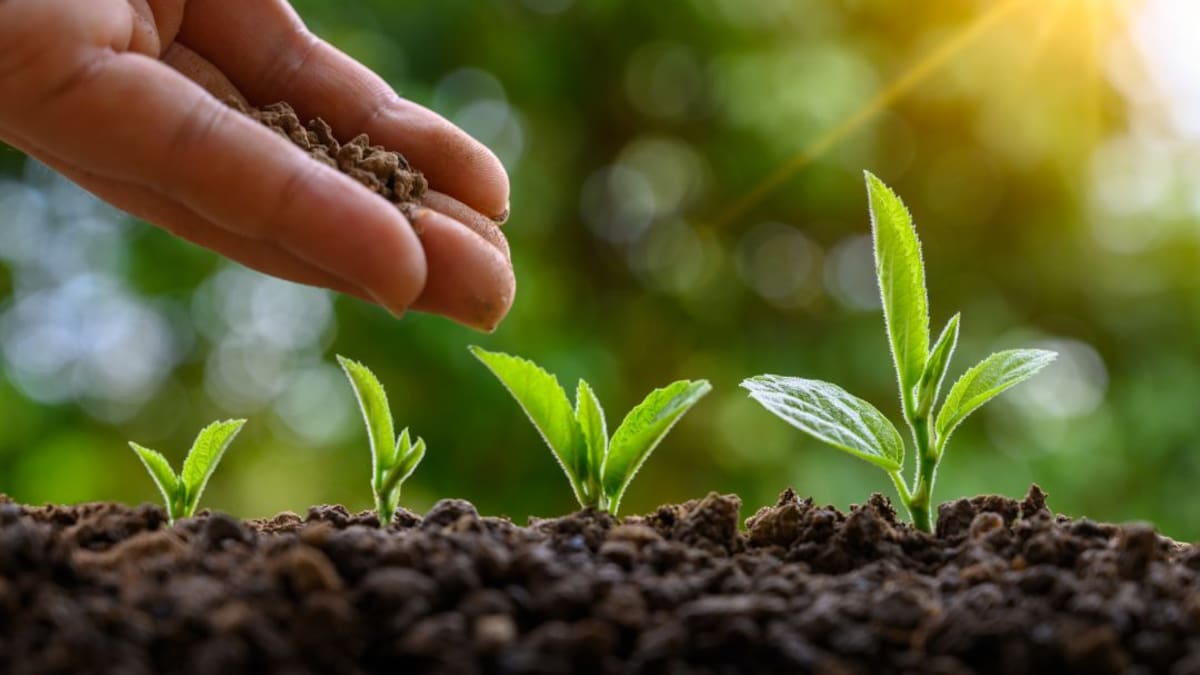 Monómeros alerta sobre falsificación de fertilizantes