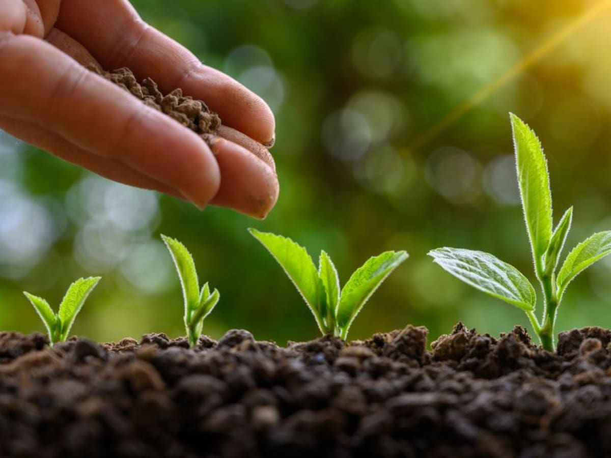 Lanzan en Colombia alerta por falsificación de fertilizantes