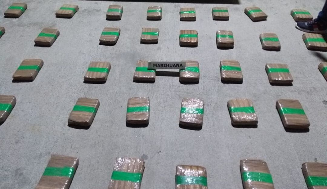 Marihuana incautada en Villamaría, Caldas