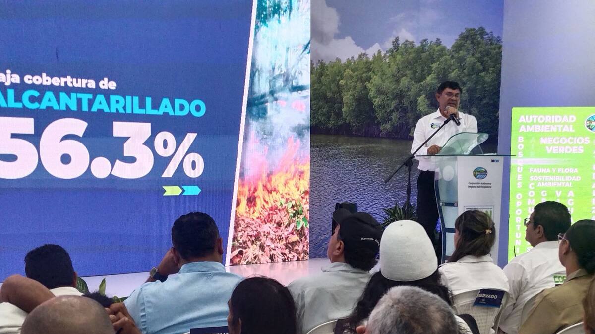 Estos son los programas y proyectos que Corpmag implementará en el periodo 2024 - 2027