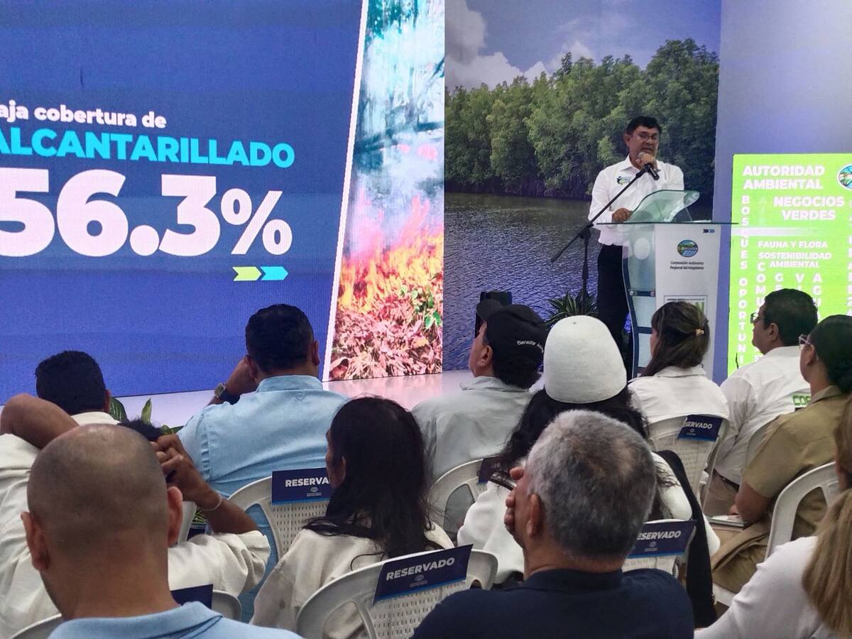 Estos son los programas y proyectos que Corpmag implementará en el periodo 2024 - 2027