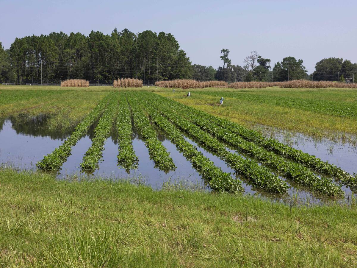 Gobierno habilitó más de $54.100 millones para protección de cultivos por el invierno