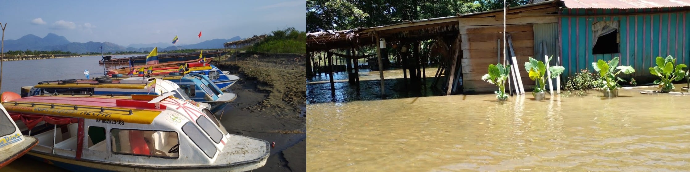 La Mojana sucreña entre la sequía en unos sectores y las inundaciones en otros