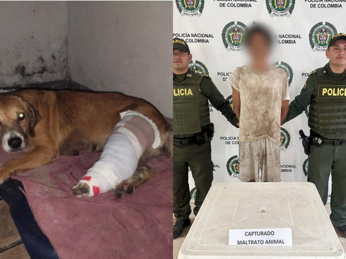 Fue capturada la primera persona por maltrato animal bajo la “Ley Ángel” en Cundinamarca