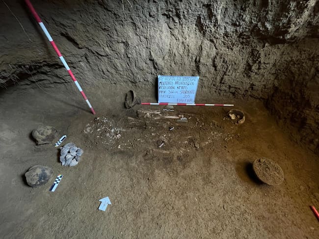 Foto: Gobernación de Risaralda